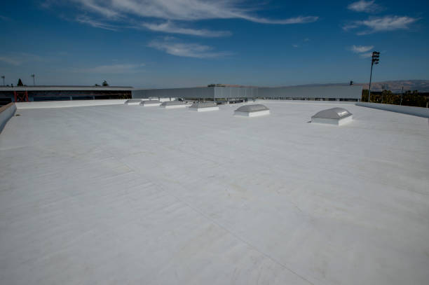 Best Emergency Roof Repair Services  in Columbia, IL