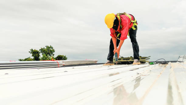 Best Asphalt Shingle Roofing  in Columbia, IL
