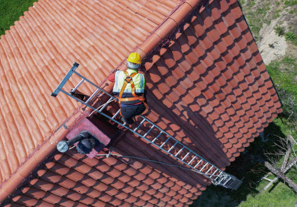 Best Asphalt Shingle Roofing  in Columbia, IL