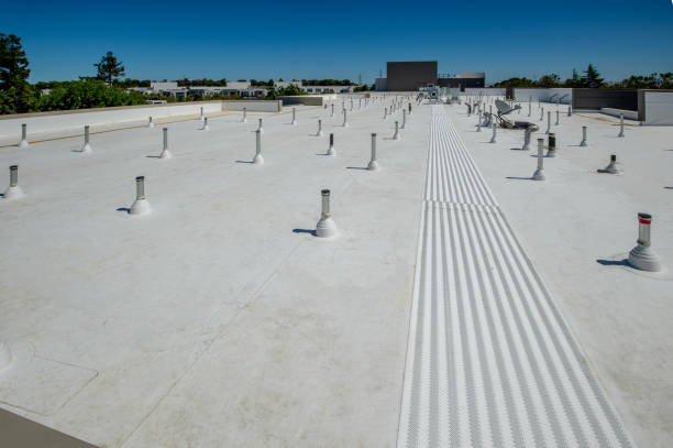 Best Flat Roofing  in Columbia, IL
